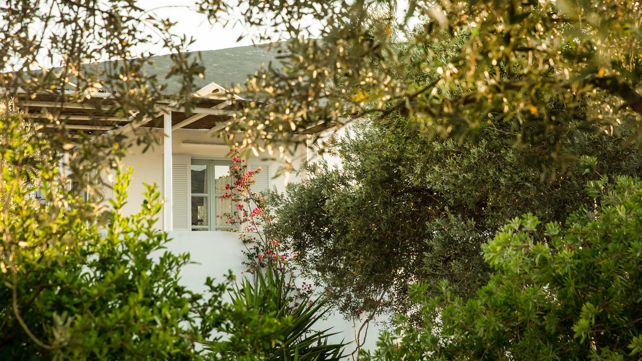 Verina Terra |Platys Gialos Beach | Verina Hotels Sifnos